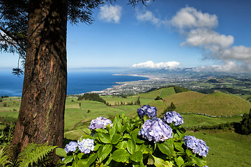 Image showing The landscapen on Sao Miguel