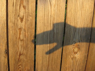 Image showing the playing of shadows on the fence