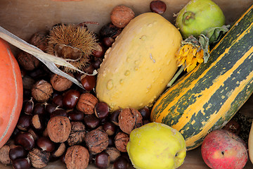 Image showing Autumn Harvest