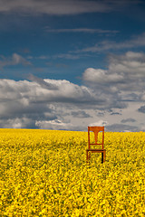 Image showing Lonely chair on the empty rape field