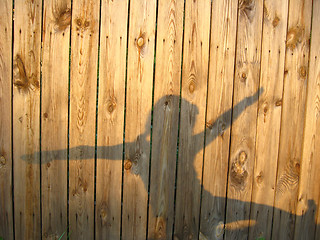 Image showing the silhouette of playing shadows on the fence