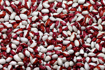 Image showing Haricot beans background