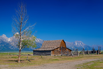 Image showing On the iconic John Moulton farm