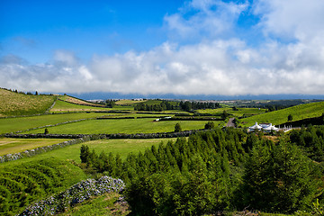 Image showing The landscapen on Sao Miguel