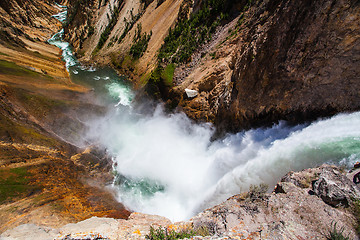 Image showing The famous Lower Falls in Yellowstone National Park