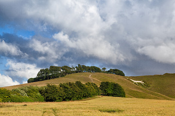 Image showing White horse on the hill