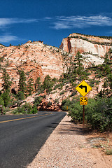 Image showing The road in Zion Canyon