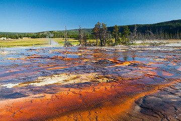 Image showing Geothermal field in Yellowstone National Park