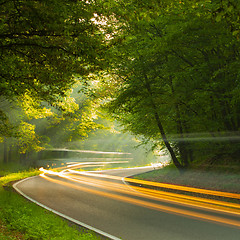 Image showing Speed - morning on the road in forest