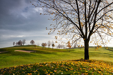 Image showing On the golf course in Prague