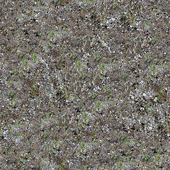 Image showing Seamless Texture of Coastal Land.