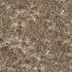 Image showing Seamless Texture of  Prairie Soils.
