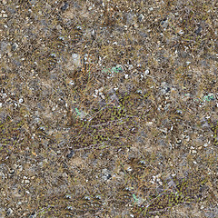 Image showing Seamless Texture of Rocky Steppe Soil.