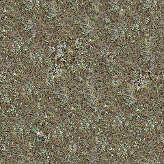 Image showing Seamless Texture of Steppe Soil.