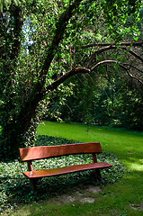 Image showing Autumn afternoon in a park.