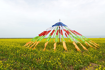 Image showing Buddhist prayer flags 