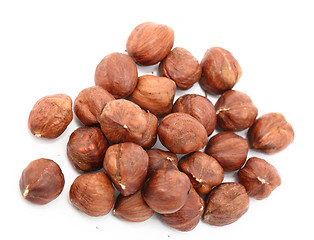 Image showing hazelnut