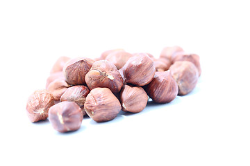 Image showing hazelnut