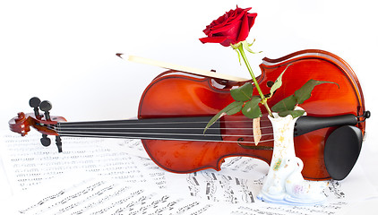 Image showing Violin