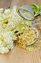 Image showing Herbal tea from meadowsweet dry in a strainer