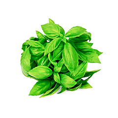 Image showing Basil green bundle