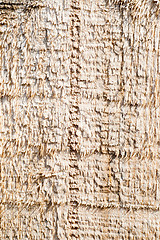 Image showing textured surface of board with a rough surface