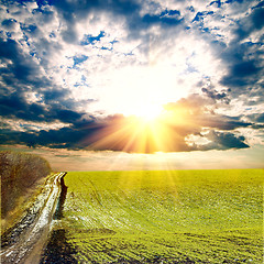 Image showing sunrays over green field with path