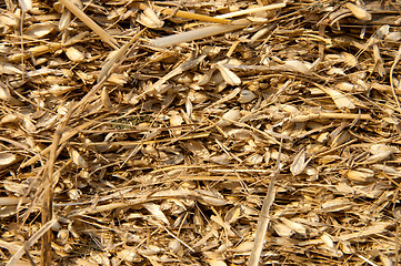 Image showing image of pressed straw with husk