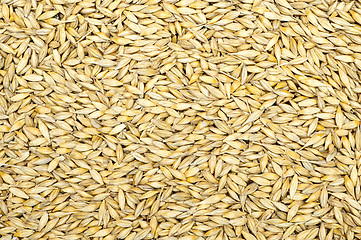 Image showing grain as good natural background