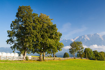 Image showing Morning on the mountains