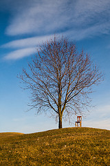 Image showing The old chair on the golf course