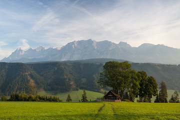 Image showing On pasture in mountains