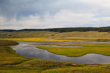 Image showing Hayden Valley - landscape of American Bison