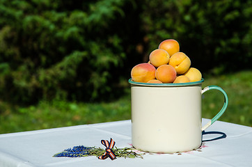 Image showing Apricots on decorated table