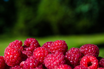 Image showing Raspberries 