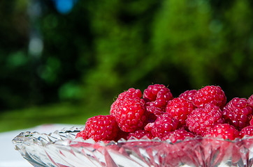 Image showing Raspberries closeup