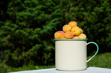 Image showing Apricots in a cup
