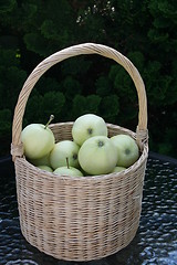 Image showing Basket with Transparent Blanche apples