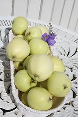 Image showing Transparent Blanche apples