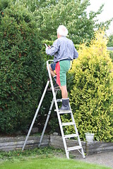 Image showing Gardener