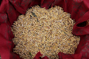 Image showing Wheat Grains