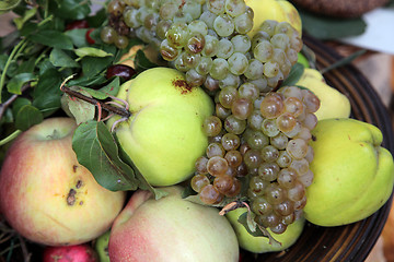 Image showing Autumn Harvest. Ripe apples and bunch of grapes