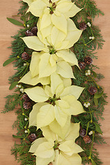 Image showing Poinsettia Flower Border