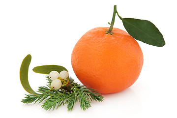 Image showing Christmas Fruit