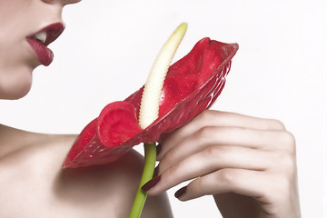 Image showing red flower and red lips