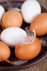 Image showing eggs and feathers in a plate