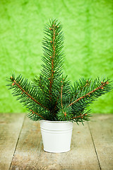 Image showing bucket with christmas fir tree 