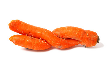 Image showing Double Carrot