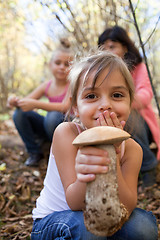 Image showing Find in the forest