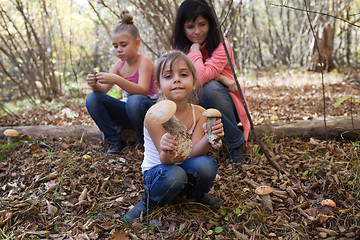 Image showing Find in the forest